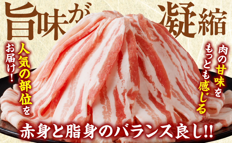 【2週間以内発送】宮崎県産豚バラスライス計1kg_T009-0113-2W【肉 豚 豚肉 おかず 国産 人気 ギフト 食品 お肉 しゃぶしゃぶ 贈り物 お土産 送料無料 プレゼント】