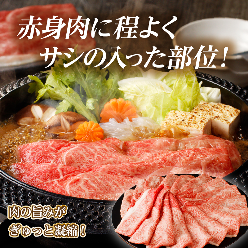 「宮崎牛肩(ウデ)すき焼き用」計500g_T009-0142【肉 牛 牛肉 おかず 国産 人気 ギフト 食品 すきやき しゃぶしゃぶ BBQ 贈り物 送料無料 プレゼント】
