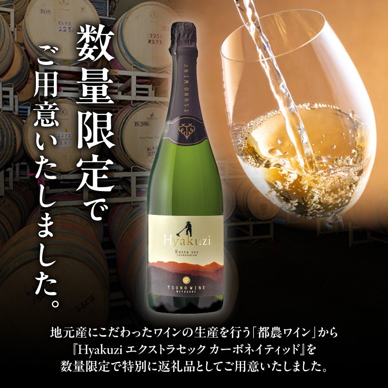 【数量限定】Hyakuzi エクストラセック カーボネイティッド(計1本)_T014-007【酒 飲料 アルコール 国産 人気 ギフト 食品 お酒 BBQ お土産 限定品 贈り物 送料無料 プレゼント】