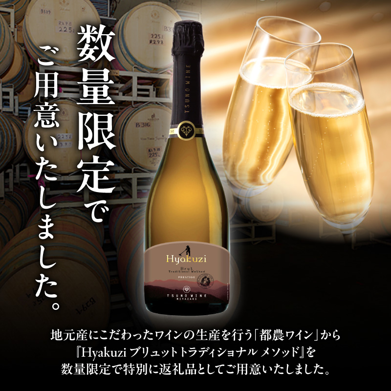 【数量限定】Hyakuzi ブリュット トラディショナル メソッド(計1本)_T014-008【酒 飲料 アルコール 国産 人気 ギフト 食品 お酒 BBQ お土産 限定品 贈り物 送料無料 プレゼント】