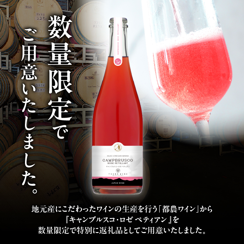 【数量限定】キャンブルスコ・ロゼ ペティアン (計1本)_T014-019【酒 ワイン アルコール 国産 人気 ギフト 飲料 食品 お酒 お土産 限定品 贈り物 送料無料 プレゼント】