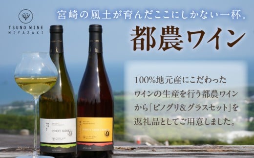 ≪数量限定≫都農ワイン ピノグリ2本&グラスセット 酒 飲料 アルコール 国産 ロナ_T014-021