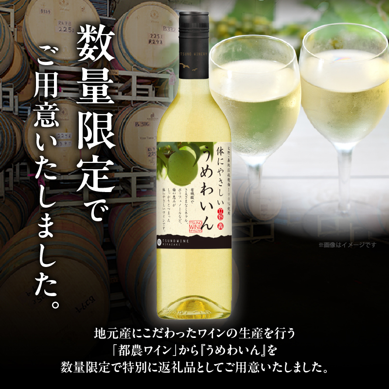 【数量限定】うめわいん(計1本) _T014-029【酒 飲料 アルコール 国産 人気 ギフト 飲料 食品 お酒 お土産 限定品 贈り物 送料無料 プレゼント】