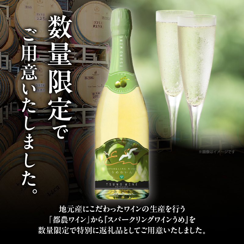 【数量限定】スパークリングワインうめ(計1本) _T014-030【酒 飲料 アルコール 国産 人気 ギフト 飲料 食品 お酒 お土産 限定品 贈り物 送料無料 プレゼント】