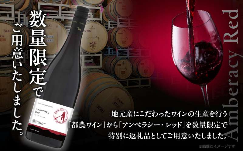 【数量限定】アンベラシー レッド(計1本)_T014-046【 ワイン 酒 アルコール 国産 人気 ギフト 食品 飲料 BBQ お土産 限定品 贈り物 送料無料 プレゼント】