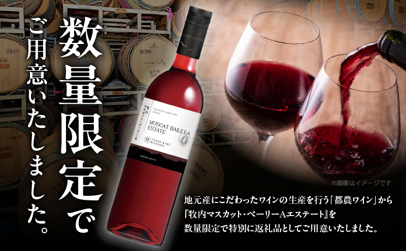【数量限定】牧内マスカット・ベーリーAエステート 2本セット_T014-056【人気 ギフト 飲料 お酒 BBQ お土産 限定品 贈り物 送料無料 プレゼント ワイン 酒 アルコール 国産】