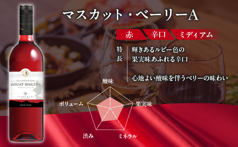 【数量限定】マスカットベリーベリー2本セット_T014-057【人気 ギフト 飲料 お酒 BBQ お土産 限定品 贈り物 送料無料 プレゼント ワイン 酒 アルコール 国産】