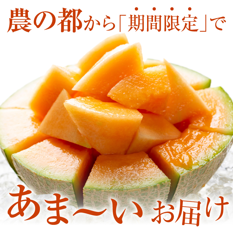 先行予約≪期間限定≫都農町産「赤肉メロン」計2玉 フルーツ 果物 デザート 国産_T015-0061-F【人気 ギフト 食品 旬 くだもの 果実 贈り物 お土産 送料無料 プレゼント】