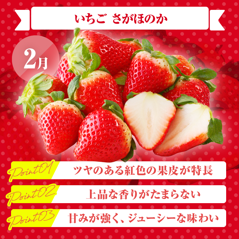 ≪定期便全4回≫2月・6月・9月・12月お届け!!４種フルーツ定期便★_T015-009【フルーツ 果物 デザート 国産 人気 ギフト 食品 旬 くだもの 果実 贈り物 お土産 送料無料 プレゼント】