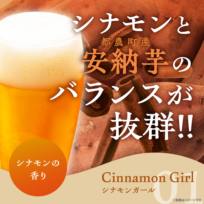 【2週間以内発送】都農クラフトビール詰め合わせ6本セット_T016-0031【酒 アルコール 飲料 国産 人気 ギフト お酒 地酒 晩酌 BBQ 贈り物 お土産 送料無料 プレゼント】