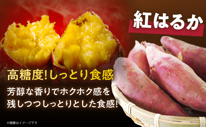 冷やし焼き芋(安納芋・紅はるか) 合計800g_T016-008【さつまいも イモ 野菜 国産 人気 ギフト おかず おやつ やきいも ポテト デザート 送料無料 プレゼント】