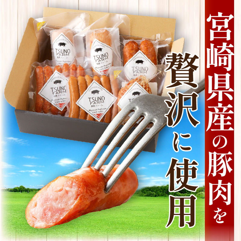 都農ファーム厳選「ウインナー・ハム6点セット」合計860g_T020-0011【肉 豚 豚肉 おかず 国産 人気 ギフト 食品 お肉 加工品 惣菜 お土産 贈り物 送料無料 プレゼント】