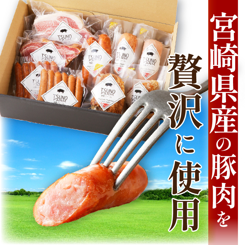 都農ファーム厳選「ウインナー・ハム9点セット」合計1.7kg以上_T020-0021【肉 豚 豚肉 おかず 国産 人気 ギフト 食品 お肉 加工品 惣菜 お土産 贈り物 送料無料 プレゼント】