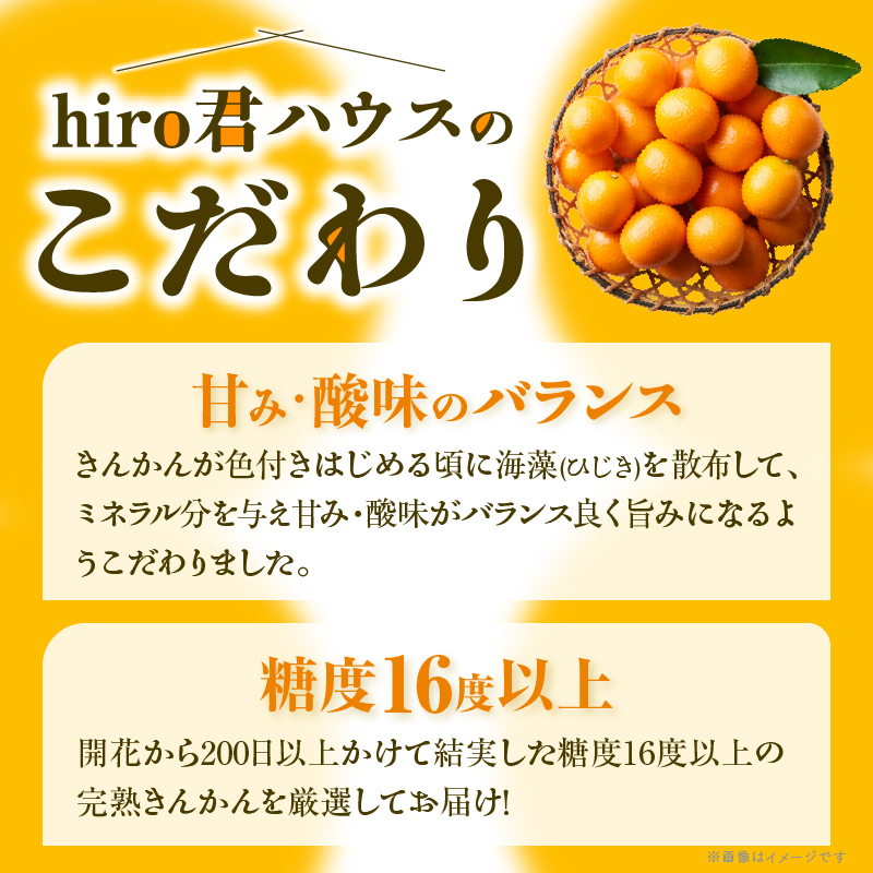 先行予約≪数量限定≫訳ありhiro君ハウスの『完熟きんかん(計2kg)』_T022-003【フルーツ 果物 金柑 国産 人気 ギフト 食品 くだもの アウトレット デザート 送料無料 プレゼント】