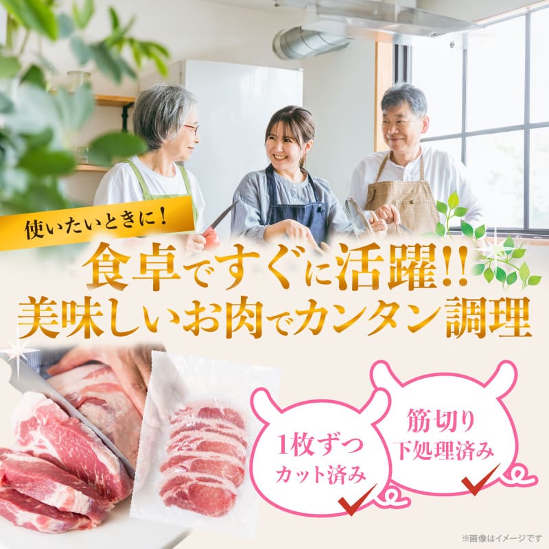 ≪宮崎ブランドポーク≫ロース(トンテキ・とんかつ用)計500g_T023-0101【肉 豚 豚肉 国産 人気 ギフト 食品 おかず お肉 焼肉 BBQ 贈り物 送料無料 プレゼント】
