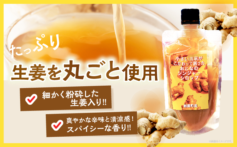都農町産ジンジャーシロップ(計1本)_T024-013【生姜 加工品 国産 人気 ギフト 食品 ジャム デザート 贈り物 お土産 送料無料 プレゼント】