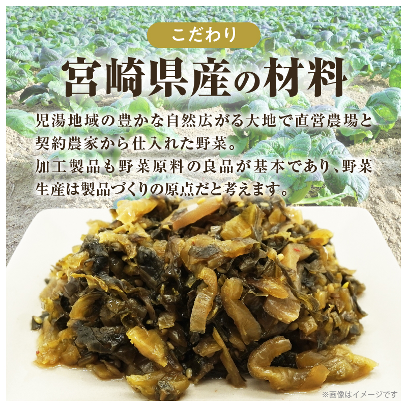 ＼ポスト投函／旨ごま高菜(150g)_T025-010【漬物 おかず 野菜 加工品 国産 人気 ギフト おかず 食品 つけもの 和食 ご飯 贈り物 送料無料 プレゼント】