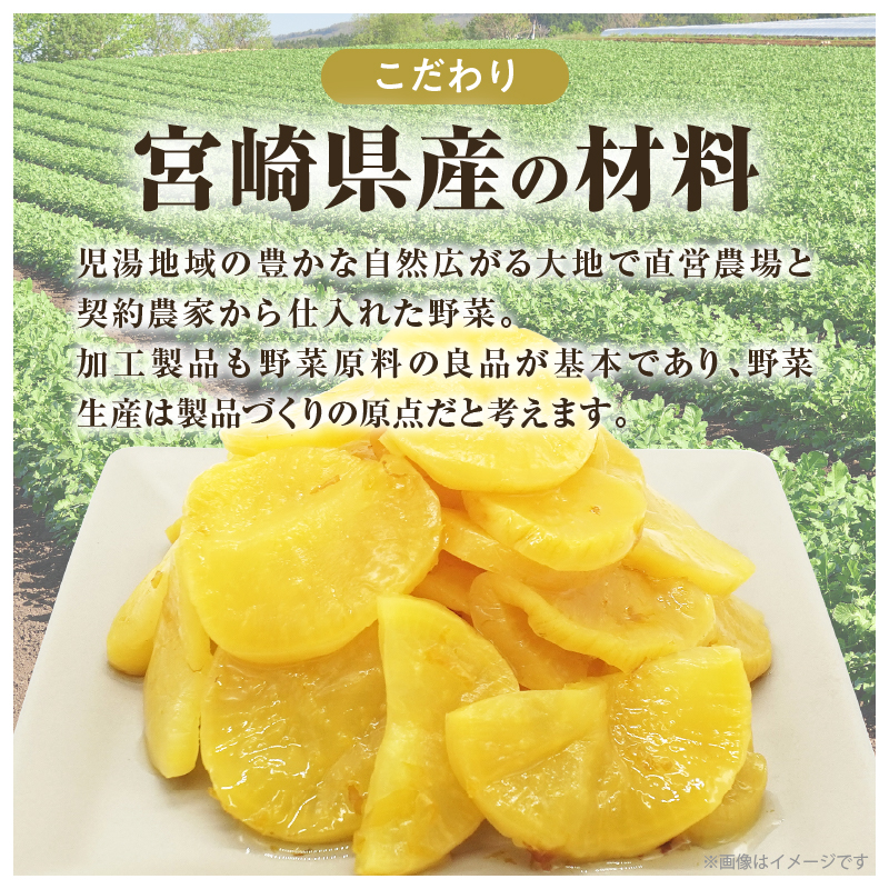 ＼ポスト投函／ひとくちかつお(230g)_T025-011【漬物 おかず 野菜 加工品 国産 人気 ギフト おかず 食品 つけもの 和食 ご飯 贈り物 送料無料 プレゼント】
