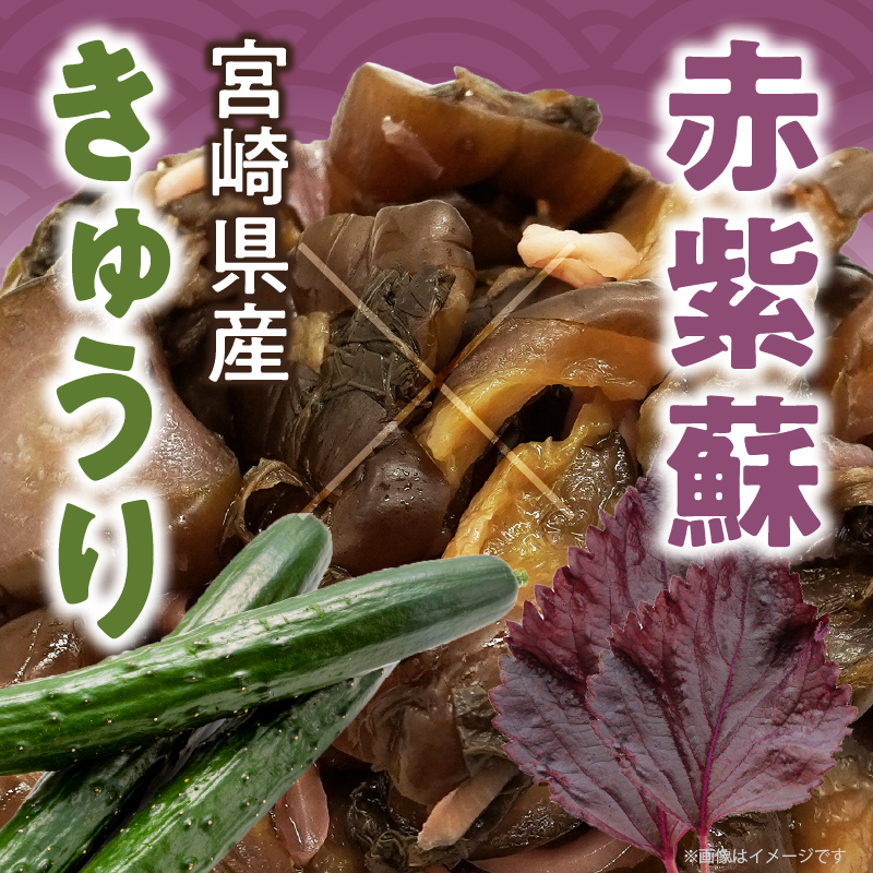 ＼ポスト投函／しば漬け 計1袋 (150g)_T025-021【漬物 おかず 野菜 加工品 国産 人気 ギフト おかず 食品 つけもの 和食 ご飯 贈り物 送料無料 プレゼント】