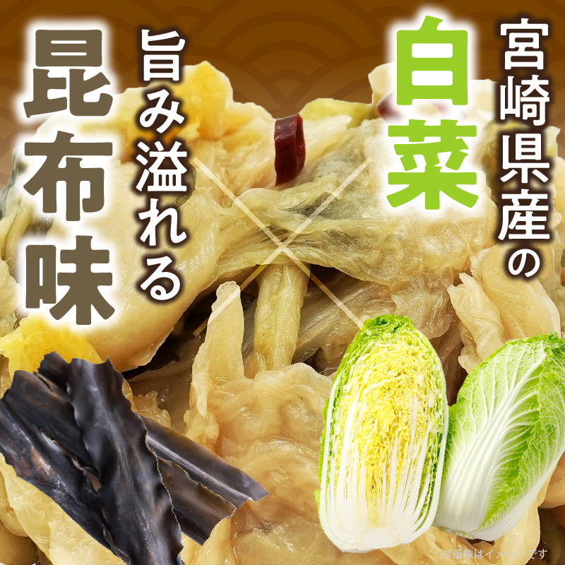 ＼ポスト投函／白菜古漬け（昆布味） 計1袋 (100g)_T025-023【漬物 おかず 野菜 加工品 国産 人気 ギフト おかず 食品 つけもの 和食 ご飯 贈り物 送料無料 プレゼント】
