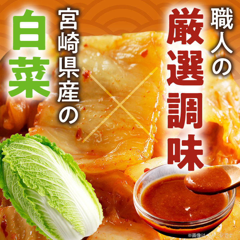 白菜キムチ 計1袋 (1kg) _T025-040【漬物 おかず 野菜 加工品 国産 人気 ギフト おかず 食品 つけもの 和食 ご飯 贈り物 送料無料 プレゼント】