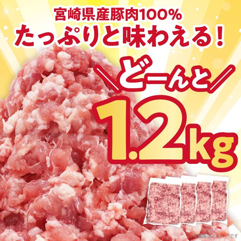 宮崎県産豚ミンチ肉 計1.2kg(300g×4パック) 肉 豚 豚肉 国産_T025-041