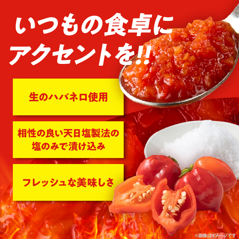 FRESH HABANERO(ハバネロ)計3瓶 漬物 おかず 野菜 加工品 国産_T025-048