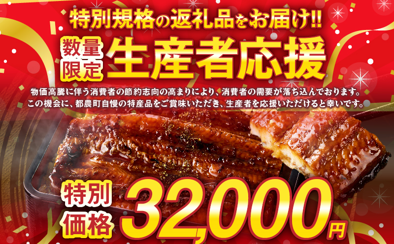 【年内発送】【数量・期間限定 特別規格】うなぎ蒲焼5尾(さんしょう・たれ付き)計800g以上_T026-0032-12【鰻 魚 魚介 加工品 国産 人気 ギフト 食品 おかず 惣菜 高級 お土産 贈り物 送料無料 プレゼント】
