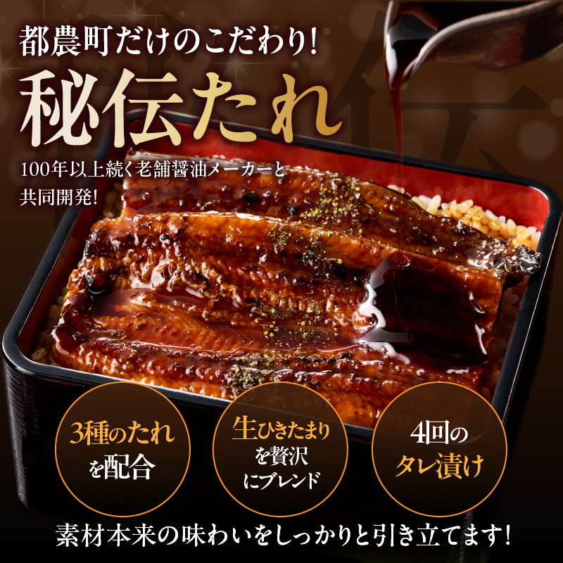 先行予約≪隔月定期便全3回≫1月・3月・5月お届け!!うなぎ蒲焼特大2尾(総重量1140g以上) _T026-0073【鰻 魚 魚介 加工品 国産 人気 ギフト 食品 おかず 惣菜 高級 お土産 贈り物 送料無料 プレゼント】