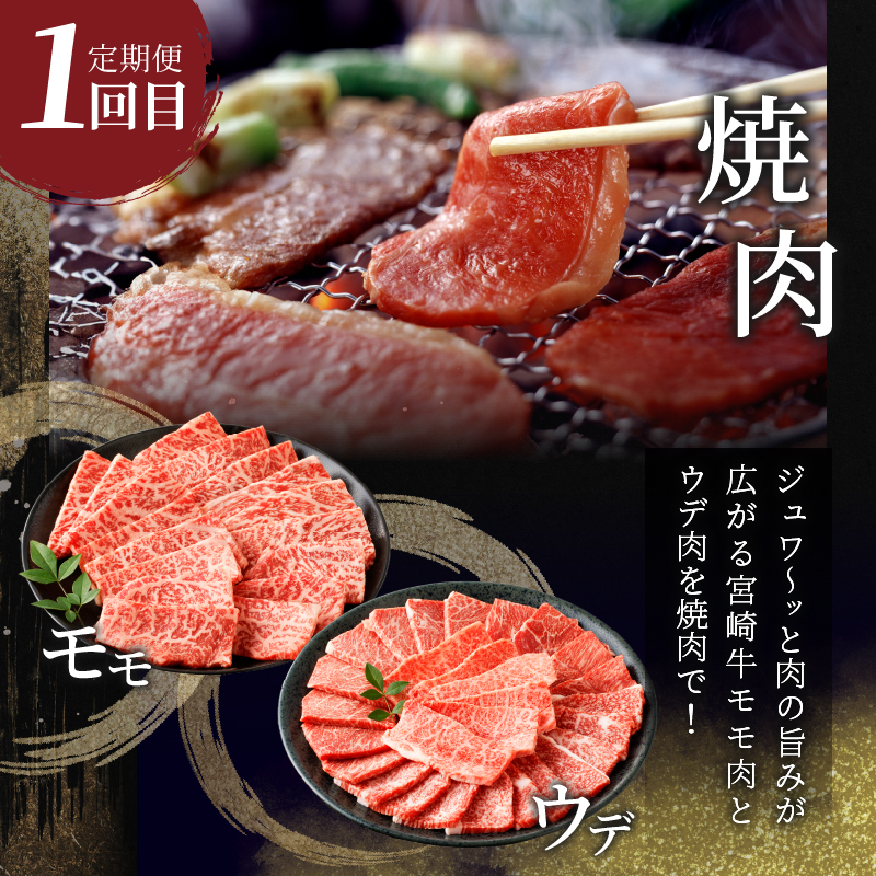 3か月お楽しみ定期便『宮崎牛よくばりセット』総重量2.4kg_T030-1363【肉 牛 牛肉 おかず 国産 人気 ギフト 食品 すき焼き しゃぶしゃぶ 焼肉 BBQ 送料無料 プレゼント】