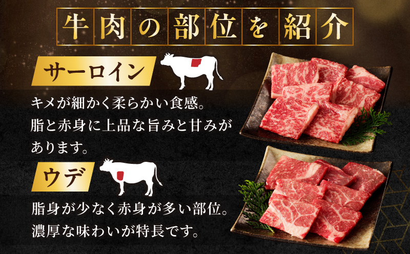生産者応援≪訳あり≫黒毛和牛(経産牛)6種焼肉セット(合計300g)_T030-1193【肉 牛 牛肉 おかず 国産 人気 ギフト 食品 お肉 焼き肉 BBQ お土産 贈り物 送料無料 プレゼント】
