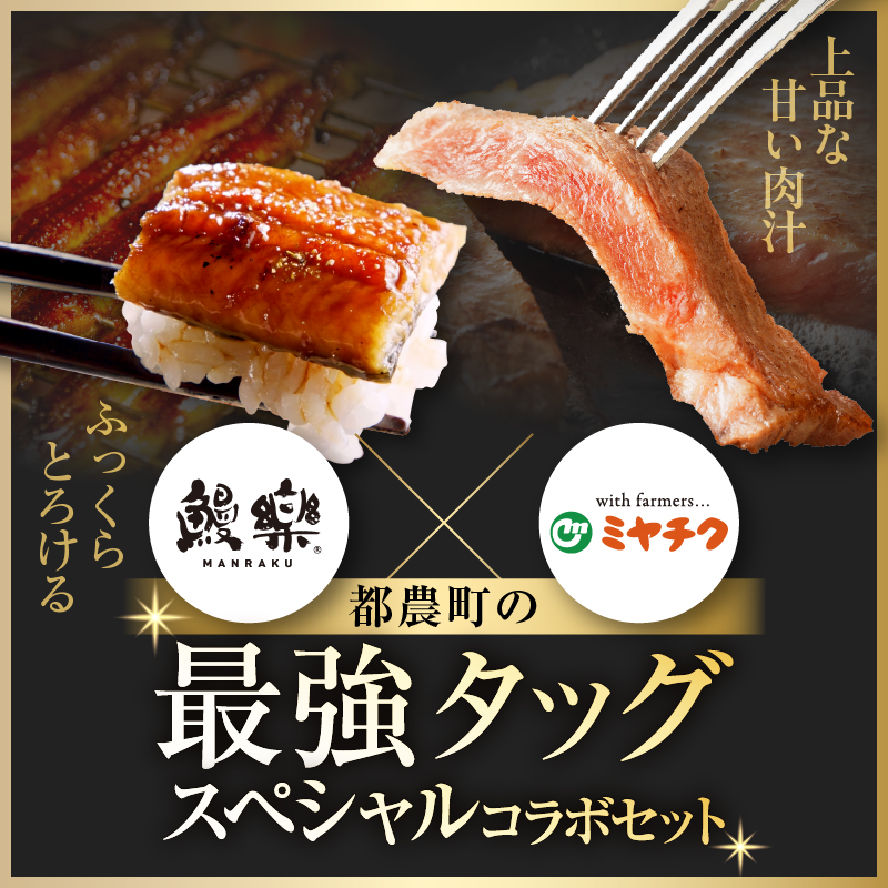 ≪数量限定≫うなぎ×宮崎牛 都農町最強セットA_T030-1293【肉 牛 牛肉 焼肉 国産 人気 ギフト 食品 焼肉 ステーキ BBQ 贈り物 送料無料 プレゼント】