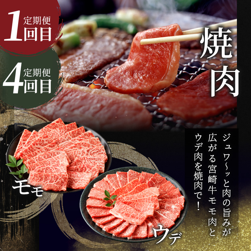 6か月お楽しみ定期便『宮崎牛よくばりセット』総重量4.8kg_T030-1843【肉 牛 牛肉 おかず 国産 人気 ギフト 食品 すき焼き しゃぶしゃぶ 焼肉 BBQ 送料無料 プレゼント】