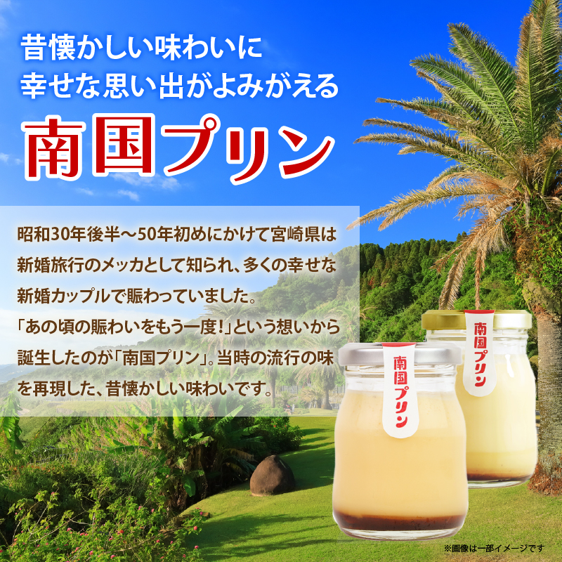 南国プリン「カタセボン(計9個)」_T038-0031【スイーツ 洋菓子 国産 人気 ギフト 食品 贈り物 お土産 デザート 菓子 加工品 送料無料 プレゼント】