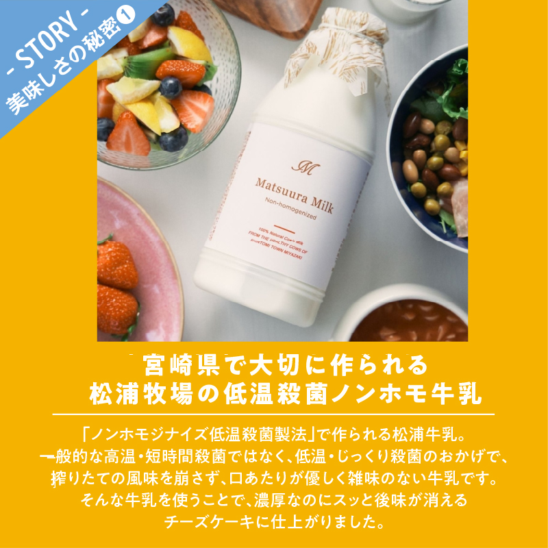 農の都で生まれた「都のチーズケーキ」計1個_T038-009【スイーツ 洋菓子 国産 人気 ギフト 食品 贈り物 お土産 デザート 菓子 加工品 送料無料 プレゼント】
