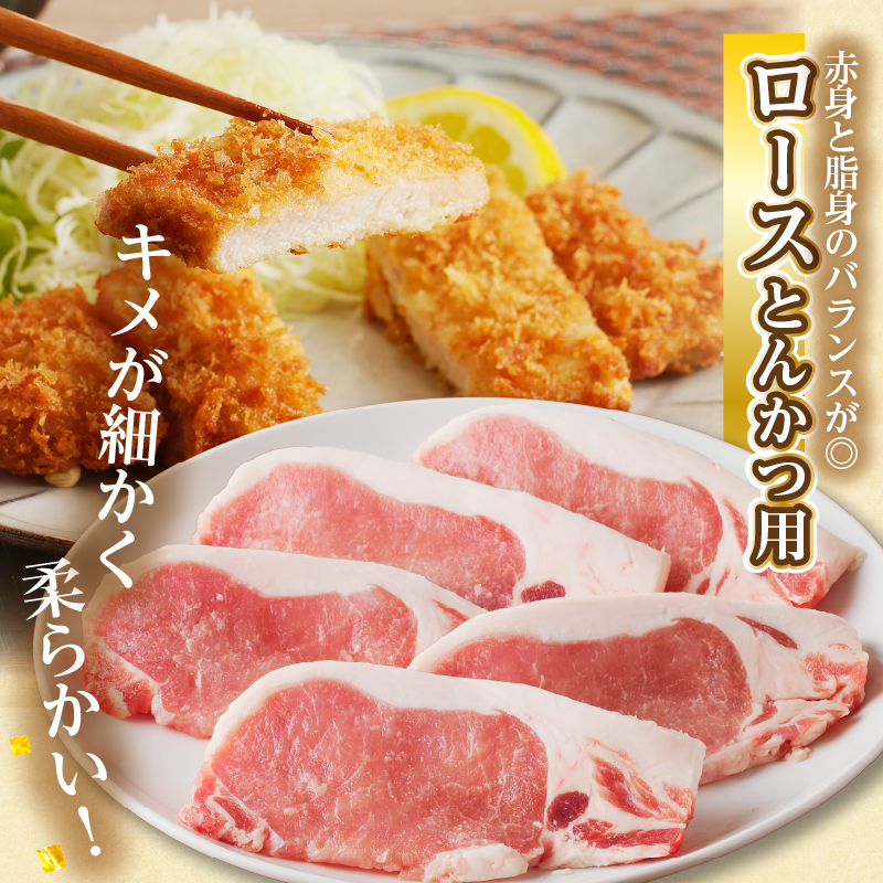 宮崎県産豚ロース・ヒレ『とんかつ用』合計2kg _T041-0102【肉 豚 豚肉 国産 人気 ギフト 食品 お肉 おかず 焼肉 贈り物 お土産 送料無料 プレゼント】