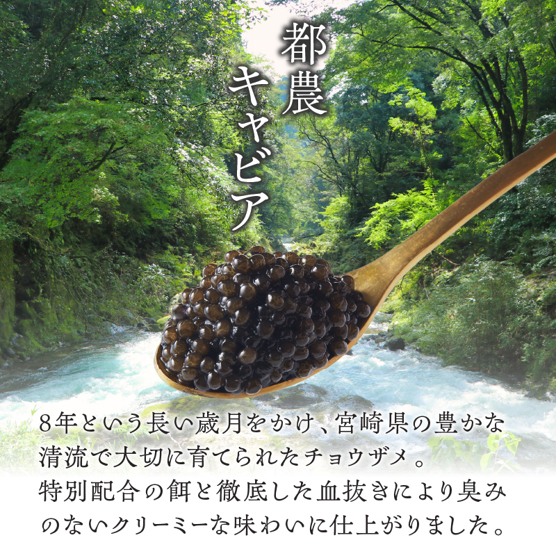 【2週間以内発送】都農キャビア(計10g)_T047-0011【魚 魚介 魚卵 国産 人気 ギフト 食品 おかず 魚介 加工品 お土産 贈り物 送料無料 プレゼント】
