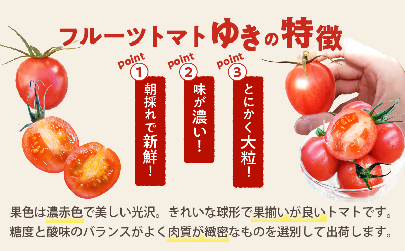 先行予約≪期間限定≫オリジナルブランド「フルーツトマト ゆき」計2kg ミニトマト 野菜 サラダ 国産_T047-0041【人気 ギフト 食品 とまと フルーツ 新鮮 お土産 贈り物 送料無料 プレゼント】