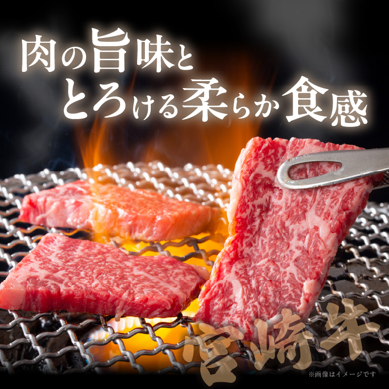宮崎牛ロース(焼肉用)計800g _T050-004【肉 牛 牛肉 国産 人気 ギフト 食品 おかず お肉 焼肉 BBQ 贈り物 送料無料 プレゼント】