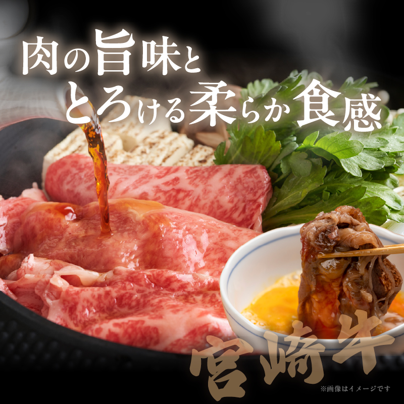 宮崎牛ローススライス(計800g)_T050-006【肉 牛 牛肉 国産 人気 ギフト 食品 おかず お肉 焼肉 BBQ 贈り物 送料無料 プレゼント】