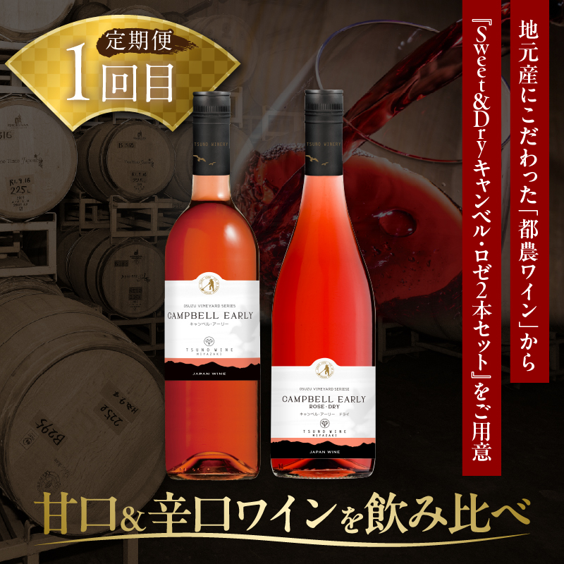 ≪定期便≫＼1か月に2回お届け!!／都農ワイン×うなぎ蒲焼★最強コンビ_T999-0031【酒 飲料 鰻 魚介 国産 人気 ギフト 食品 お酒 飲み比べ 惣菜 高級 お土産 贈り物 送料無料】