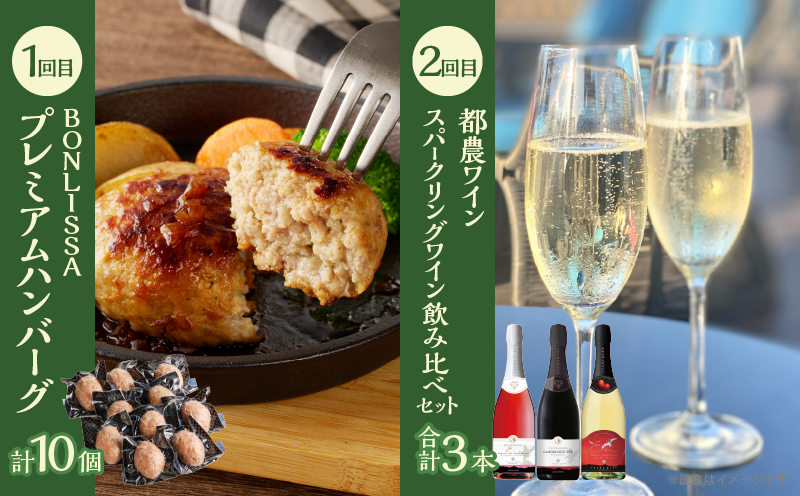 ≪6か月お楽しみ定期便≫都農町定期便(松)_T999-0073【肉 加工品 鰻 国産 人気 ギフト おかず 食品 簡単調理 贈り物 お土産 送料無料 プレゼント】