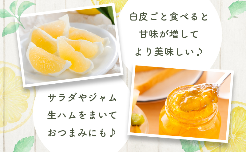 ≪先行予約≫都農町産「訳あり日向夏(約5kg)」_T008-004【フルーツ 果物 柑橘 国産 人気 ギフト 食品 果実 デザート 贈り物 お土産 送料無料 プレゼント】