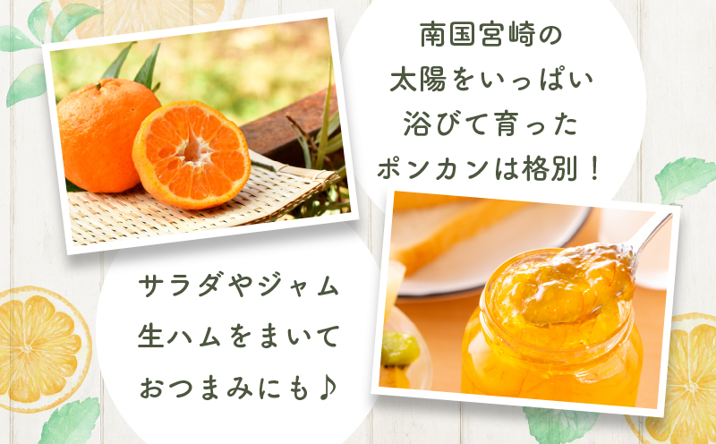 ≪期間限定≫都農町産「ポンカン(Lサイズ)」約5kg _T008-015【フルーツ 果物 柑橘 国産 人気 ギフト 食品 果実 デザート 贈り物 お土産 送料無料 プレゼント】