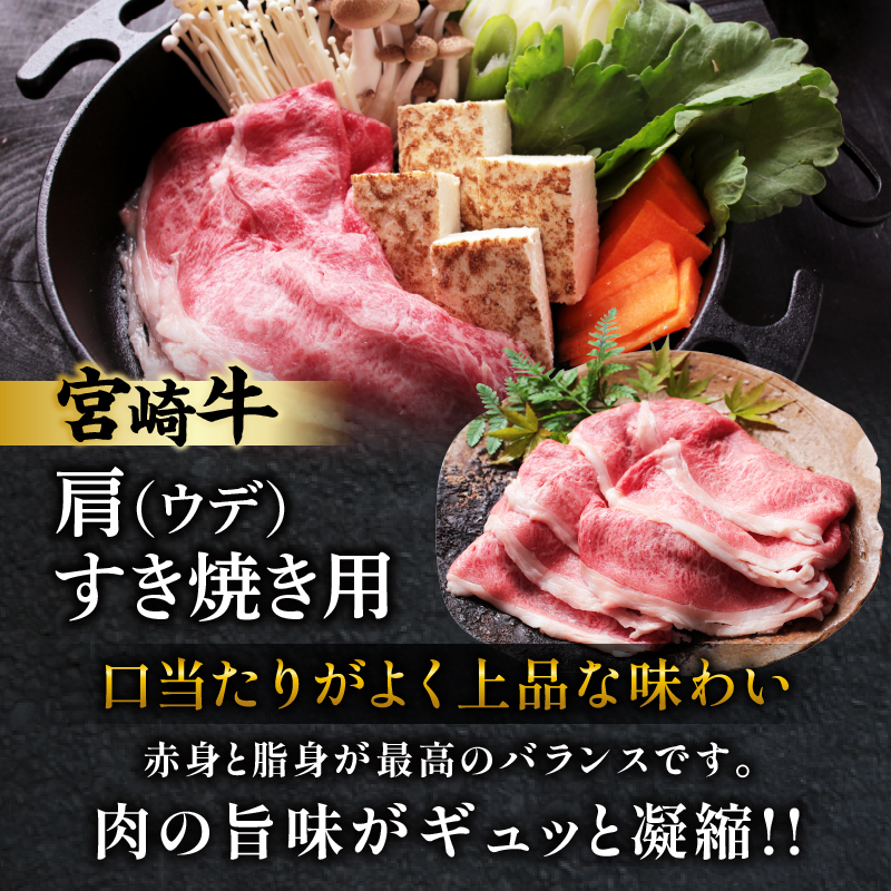 宮崎牛サーロインステーキ&肩(ウデ)すき焼き用セット合計500g_T009-0032【肉 牛 牛肉 焼肉 国産 人気 ギフト 食品 おかず お肉 焼き肉 お土産 贈り物 送料無料 プレゼント】
