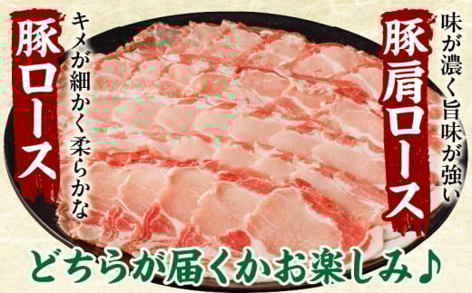 ≪訳あり≫宮崎県産豚ローススライス計1kg≪ロース・肩ロースどちらかのお届け≫ 肉 豚 豚肉 おかず 国産_T009-0103【人気 ギフト 食品 お肉 しゃぶしゃぶ 贈り物 お土産 送料無料 プレゼント】