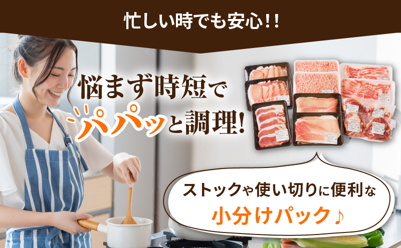 【2週間以内発送】≪宮崎県産≫豚肉6種＼てげスゲーセット／合計4.5kg 肉 豚 豚肉 おかず 国産_T009-032-2W【人気 ギフト 食品 お肉 しゃぶしゃぶ 贈り物 お土産 送料無料 プレゼント】