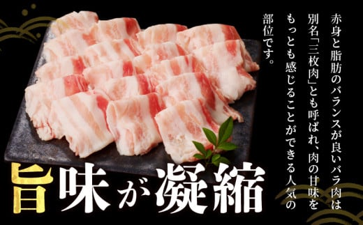 宮崎県産豚バラしゃぶしゃぶ用(計1kg) 肉 豚 豚肉 おかず 国産_T009-0133【人気 ギフト 食品 お肉 おかず 焼肉 贈り物 お土産 送料無料 プレゼント】