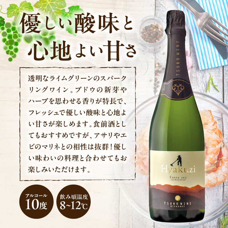 【数量限定】Hyakuzi エクストラセック カーボネイティッド(計1本)_T014-007【酒 飲料 アルコール 国産 人気 ギフト 食品 お酒 BBQ お土産 限定品 贈り物 送料無料 プレゼント】