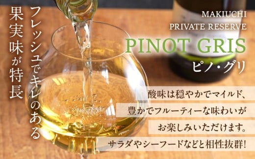 ≪数量限定≫都農ワイン ピノグリ2本&グラスセット 酒 飲料 アルコール 国産 ロナ_T014-021